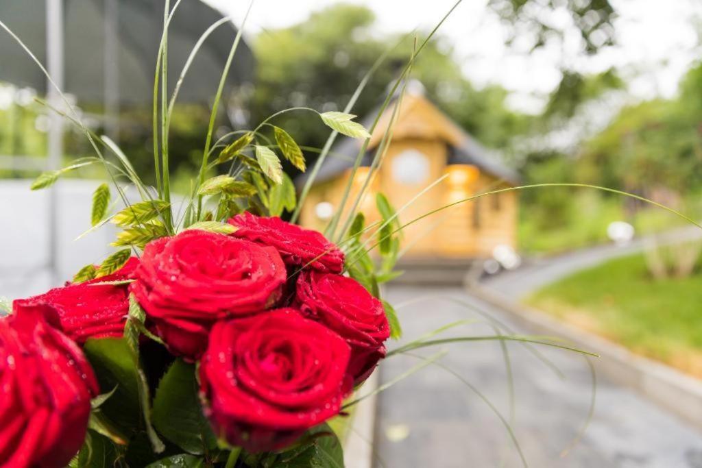 Chalet Vitaspa - Whirlpool & Sauna Privatspa Pegnitz Ngoại thất bức ảnh
